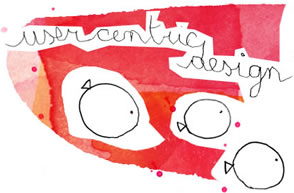 user centric design