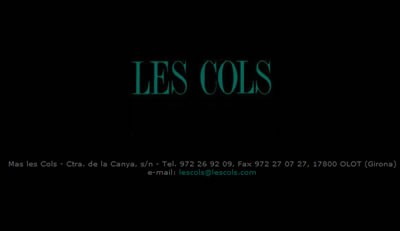 primera pantalla de acceso a lescols.com