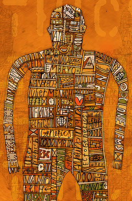 Ilustración de una figura humana