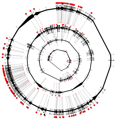 visualización de datos